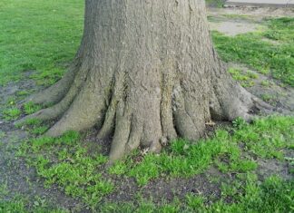 Jak sprawdzić czy gniazdo jest uziemione? Jak sprawdzić czy gniazdo jest uziemione?