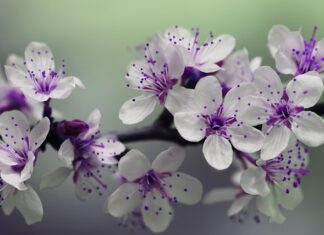 Jaka średnica otworu pod słupki ogrodzeniowe?