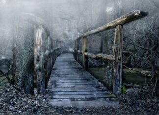 Po co mostek w gniazdku? Po co mostek w gniazdku?