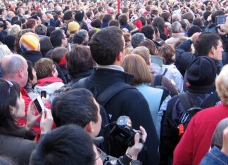 Jakie są wymiary paneli ogrodzeniowych?