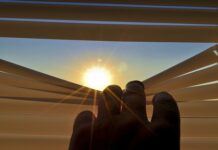 Ile kosztuje jedna roleta wewnętrzna? Ile kosztuje jedna roleta wewnętrzna?